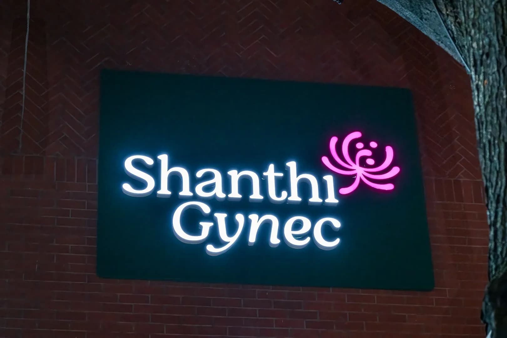 Shanthi Gynec sign at night: face-lit white letters and a pink lotus on brick
