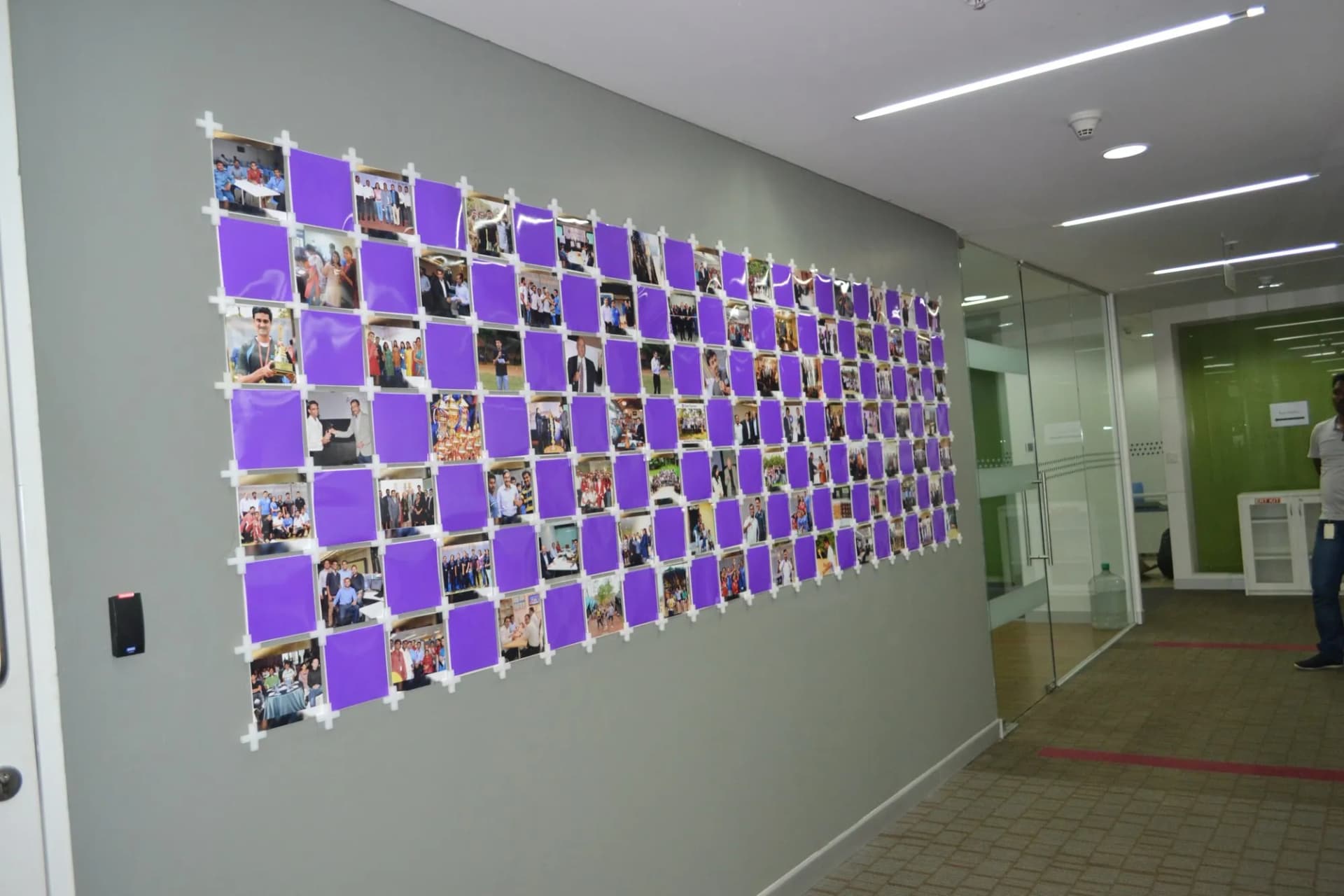 Grid of staff photographs on purple squares along a corridor wall