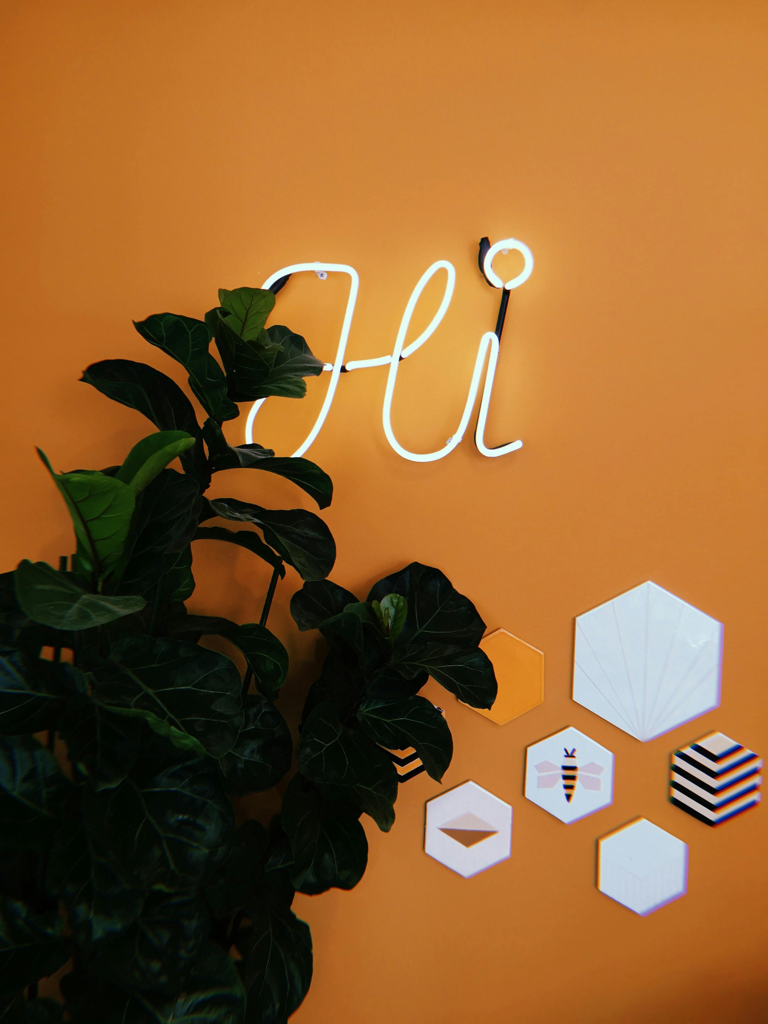 Neon light sign saying 'Hi' on orange wall with large green leafy plant and decorative hexagon tiles
