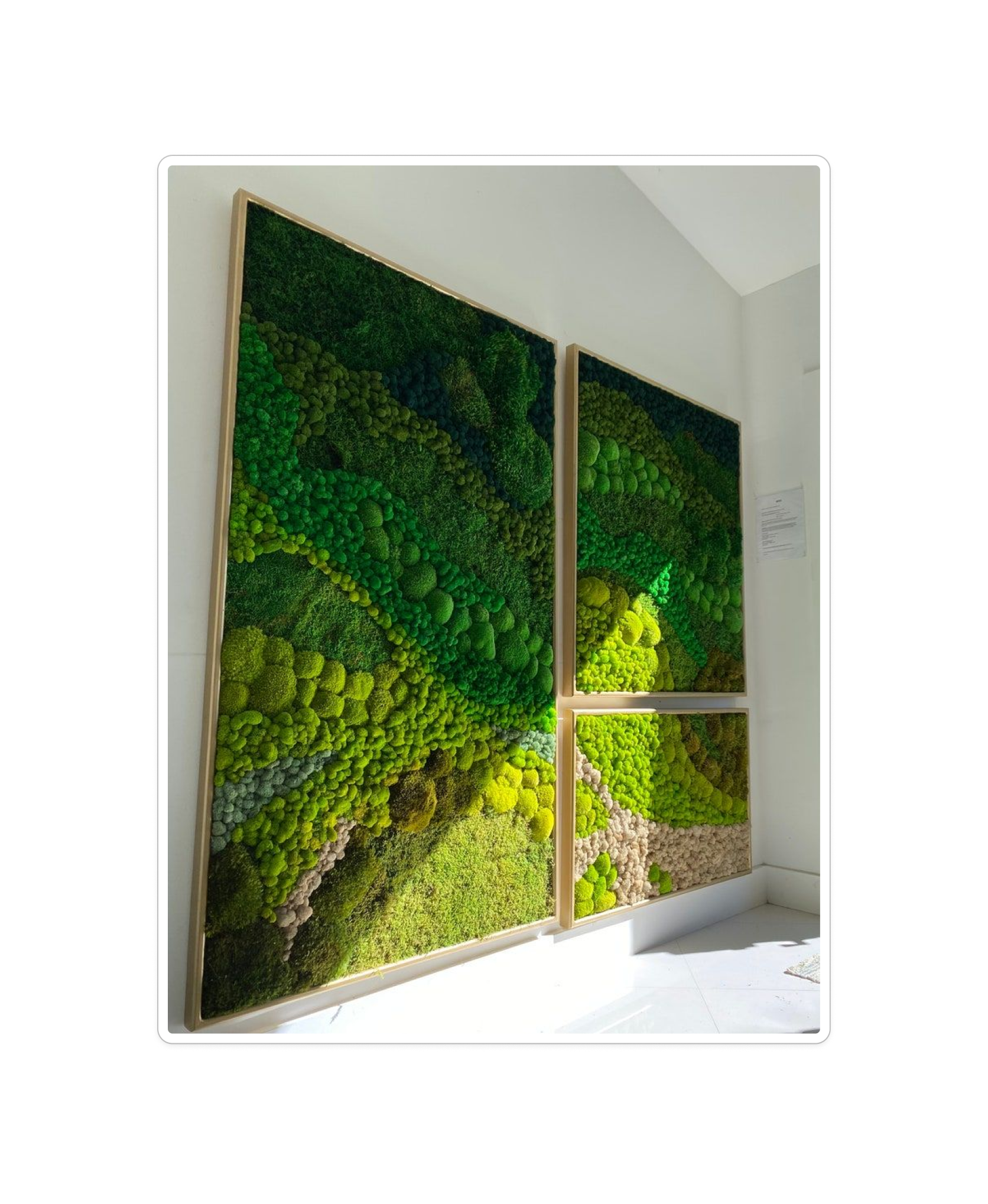 Geometric Moss Wall Panel