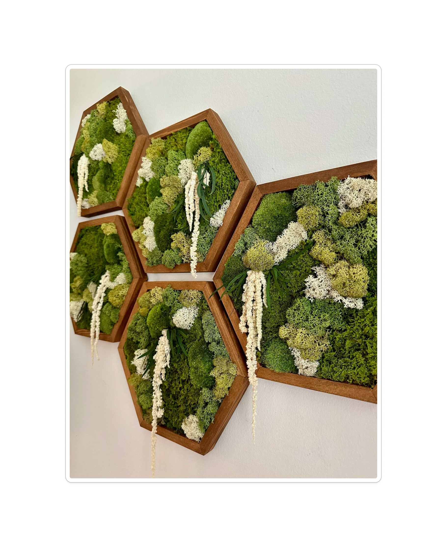 Geometric Moss Wall Panel